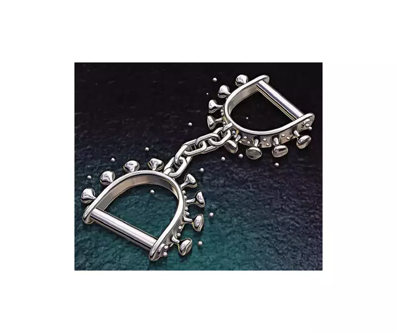 Pernem Forest Dept Arrests Man, Seizes Vehicle for Khaira Tree Smuggling