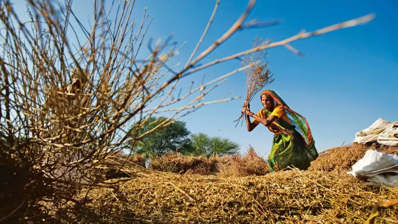 PM KISAN 21st Installment: Modi to Release ₹6,000 Aid on Nov 19