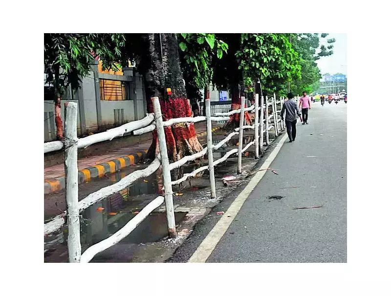 PM Modi's Power-Packed Patna Roadshow & Poll Rallies Set to Electrify Bihar Today!