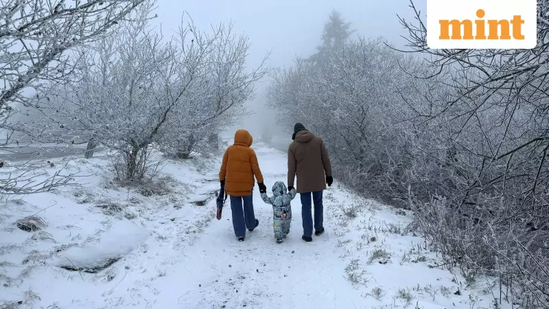 Polar Vortex Shift May Bring Early Winter Chill to Northern Hemisphere