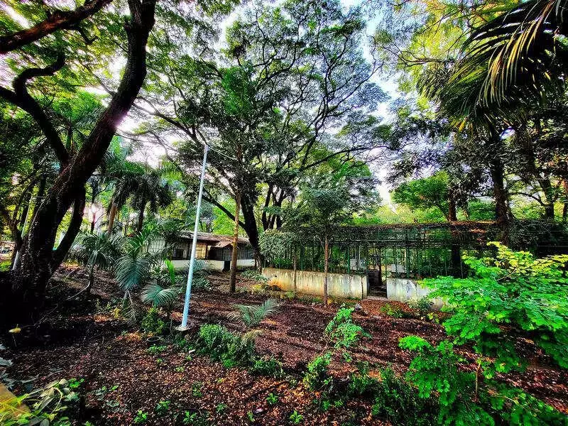 Pune's Massive Land Verification Drive: All Govt Plots to Be Physically Inspected