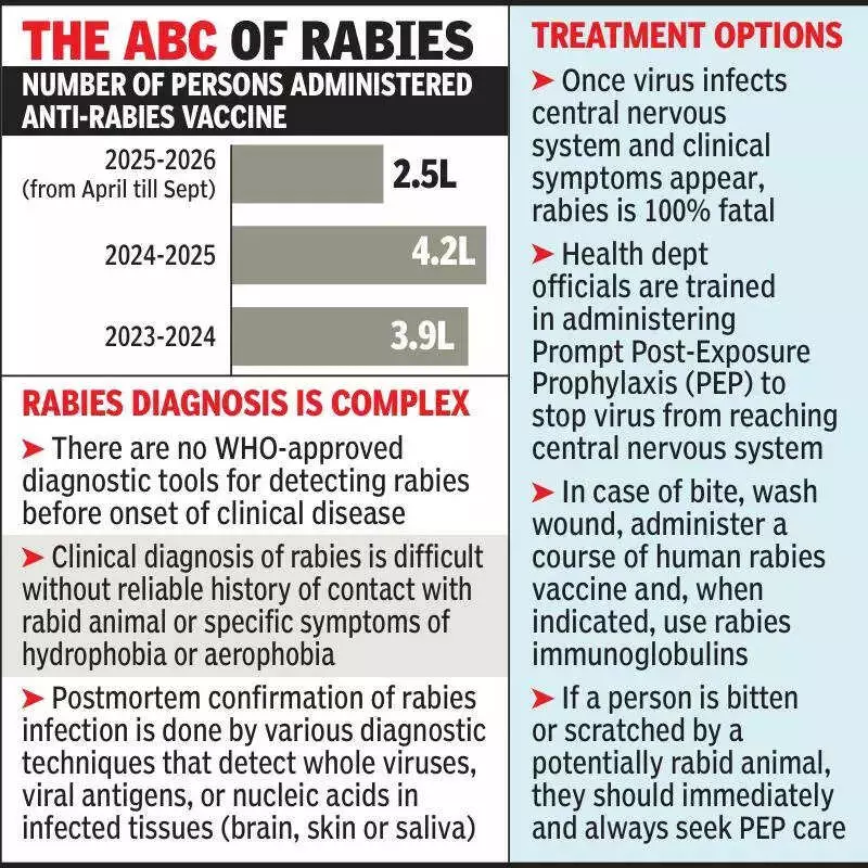 Rajasthan Reports Zero Rabies Deaths Amid 670,000 Dog Bite Vaccinations