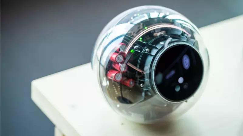 Sam Altman's Tools for Humanity Demands Weekend Work for AI Mission