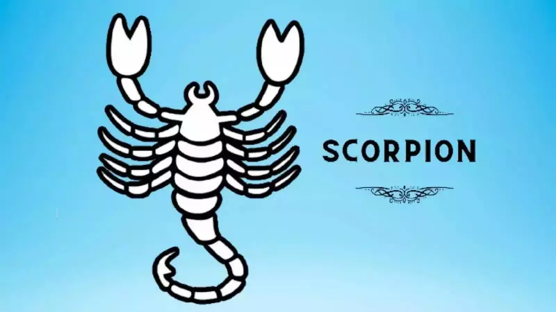 Scorpio Daily Horoscope: Embrace Steady Growth in Love, Career & Money