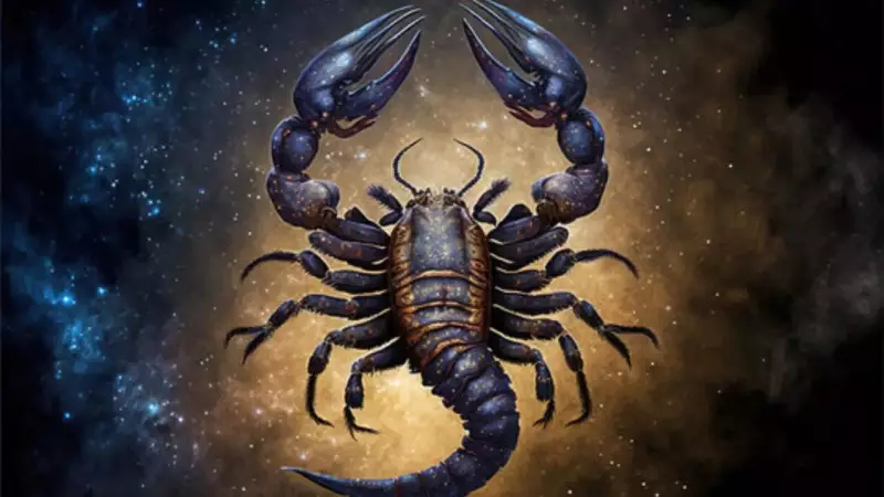 Scorpio Weekly Horoscope (Nov 2-8, 2025): Major Breakthroughs in Career & Relationships Await!