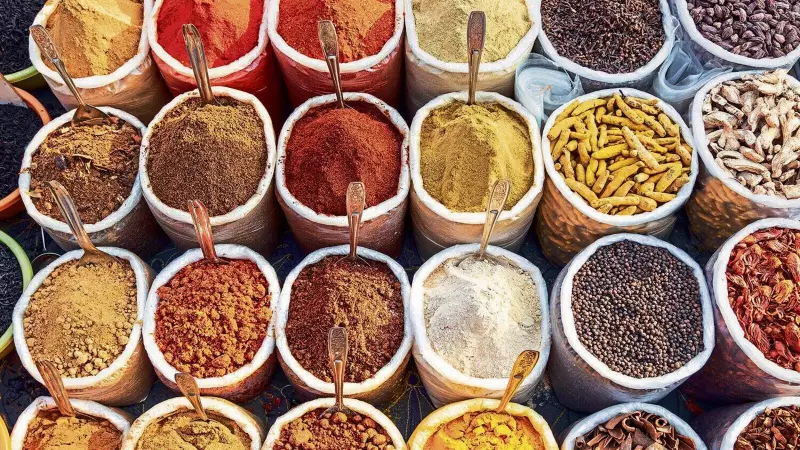 Shreeji Global FMCG IPO Opens: Check GMP, Price Band, Subscription Status & Key Details