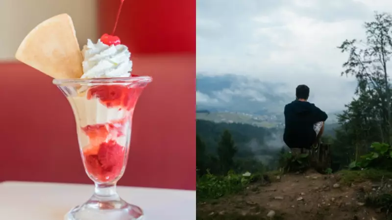 Singles' Sundae Day 2025: India Celebrates Solo Life on November 11