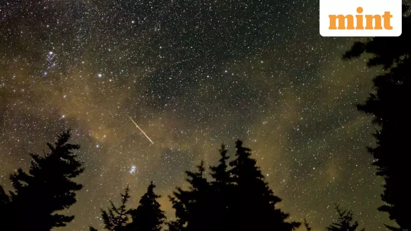 Southern Taurid Meteor Shower 2025: Your Complete Guide to Tonight's Spectacular Fireball Display