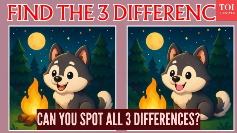 Spot 3 Differences in This Cat Picture Challenge! Only 1% Can Find Them All in 15 Seconds