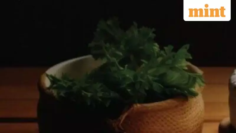 Sudeep Pharma IPO Opens: ₹895 Cr Offer with ₹130 GMP, Analysts Suggest Long-Term