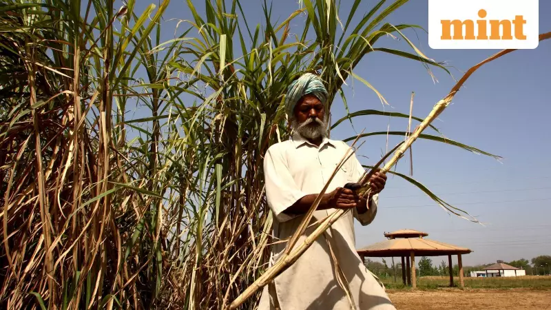 Sugar Reforms Boost Exports to 1.5M Tonnes, Scrap Molasses Duty