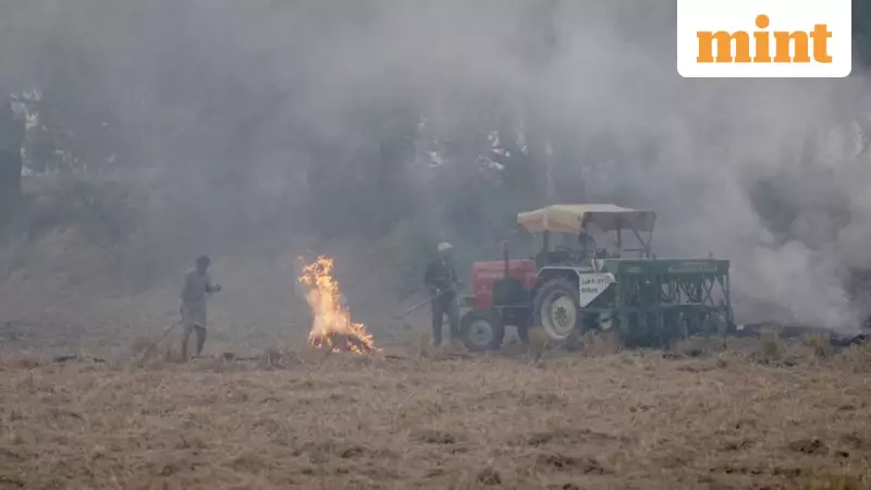 Supreme Court Demands Stubble Burning Reports from Punjab, Haryana