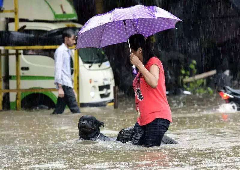 Telangana to Develop Animal Rescue Plan for Disasters, Says Minister