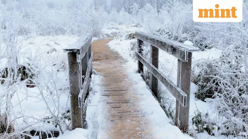 Thanksgiving 2025: Winter Storm Threatens US with 7 Inches of Snow, Travel Chaos