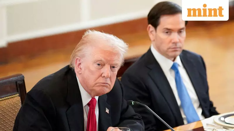 Trump Admin to Re-interview 200,000 Refugees Admitted Under Biden