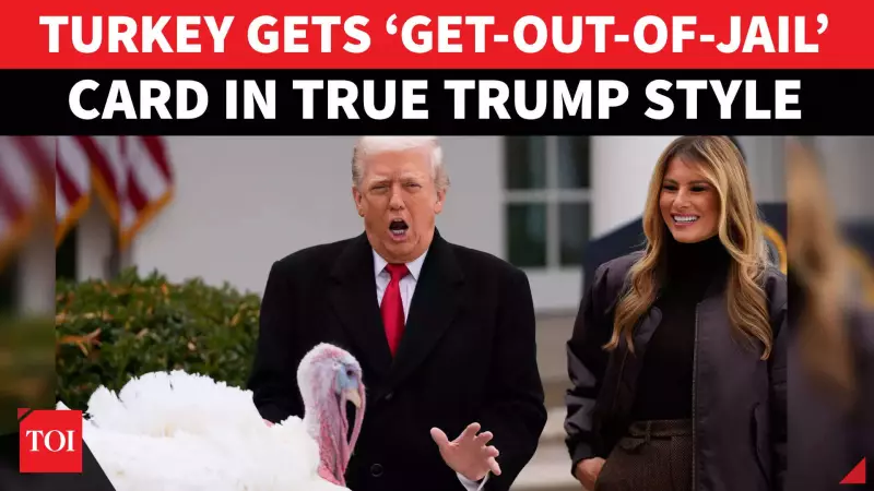 Trump's Turkey Pardon 2025: Humour and Political Jabs Dominate Ceremony