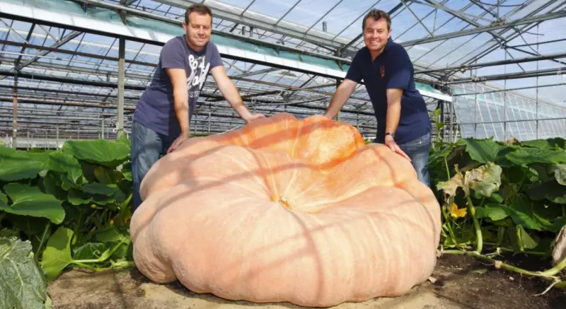 UK Brothers Grow World's Heaviest Pumpkin at 2,819 Pounds