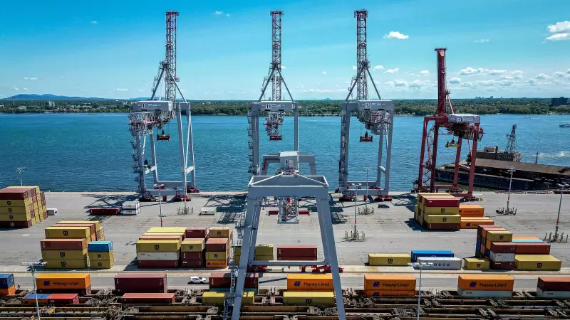 US Tariffs Hammer Indian Exports: 37.5% Plunge in 5 Months, Smartphones & Pharma Worst Hit