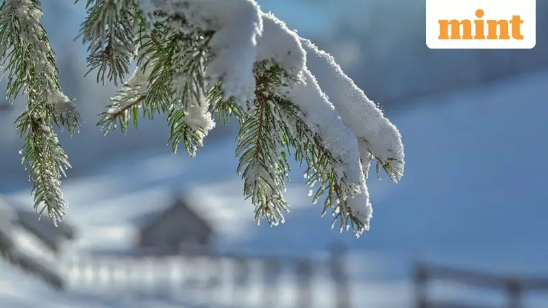 US Winter Travel Deals: Top 10 Affordable Destinations Under $500