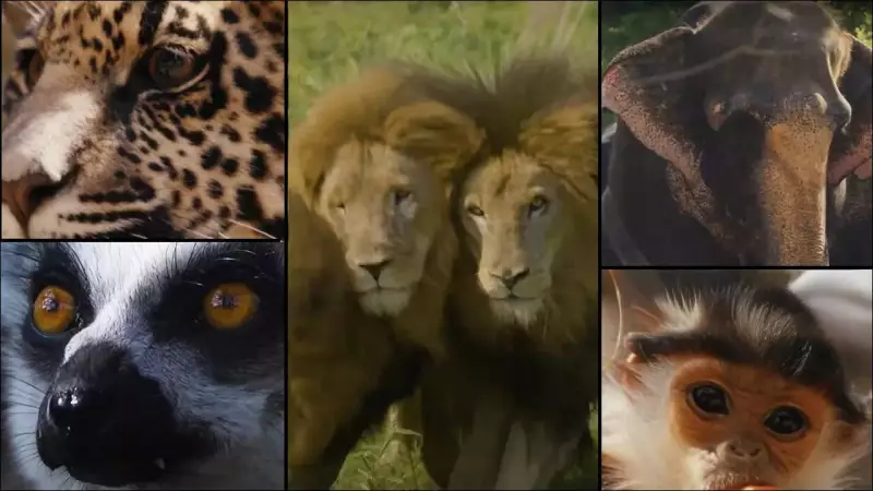 Vantara: Sanctuary Stories - Inside Anant Ambani's 3,500-Acre Wildlife Haven