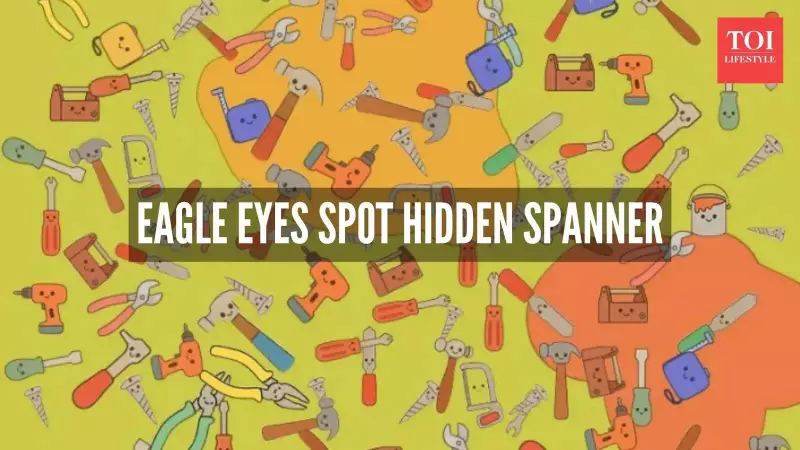 Viral Visual Challenge: Can You Spot the Hidden Spanner in 5 Seconds?