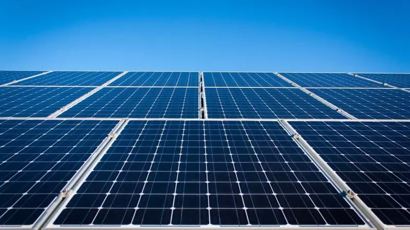 Waaree Energies Under I-T Scanner: Shares in Focus After Raids