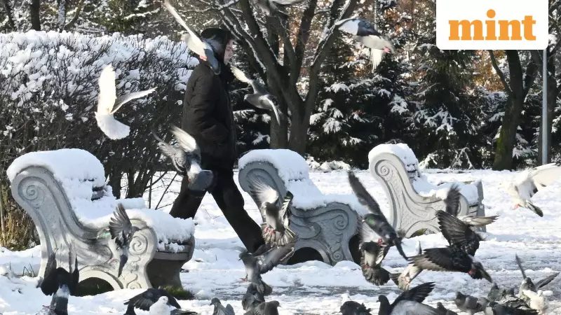 Winter Storm Warnings Issued Across US: Heavy Snowfall Alert