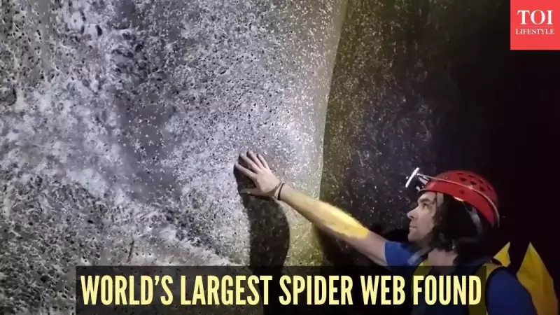 World's Largest Spider Web Discovered on Albania-Greek Border