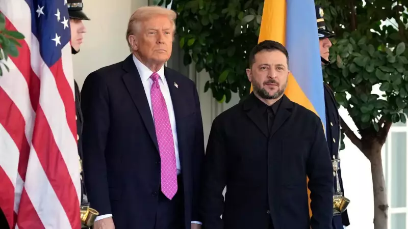 Zelenskyy Backs US Peace Plan, Ready to Discuss with Trump