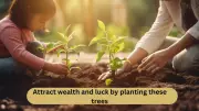 5 Vastu-Approved Trees to Plant for Instant Wealth & Good Fortune