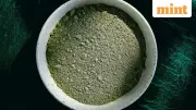 6 Science-Backed Benefits of Moringa Powder for Health & Wellness