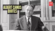 7 Albert Camus Quotes to Calm an Overthinking Mind