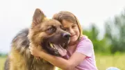 7 Reasons Why German Shepherds Are Great Family Dogs for Kids