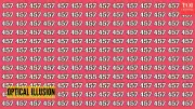 8-Second Optical Illusion Challenge: Find The Hidden Number 455