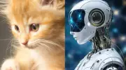 Animal & AI Consciousness: New Science Redefines Awareness