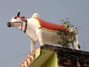 Bihar's Rooftop Revolution: Sculptures Transform Rural Landscape