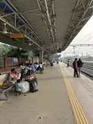 Bihar's Welfare Exodus: Migrants Rush Home, Fearing Benefit Loss in Election Season