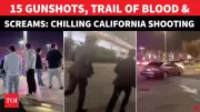 California Mall Shooting: 2 Shot in San Jose, Chaos After DC Attack