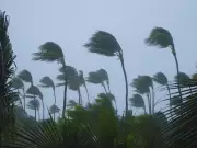 Cyclone Ditwah Nears Tamil Nadu: Flights Cancelled, Schools Shut