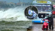 Cyclone Ditwah: Red Alert for TN, Sri Lanka Death Toll Rises