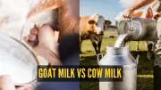 Goat Milk vs Cow Milk: Which Packs a Healthier Punch?