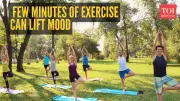 Harvard Expert Reveals: Just 5 Minutes of This Simple Activity Can Instantly Boost Your Mood!