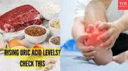 Hidden Causes of High Uric Acid Beyond Diet: 6 Factors to Watch