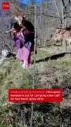 Himachal Woman's Act of Kindness: Carrying Calf on Back Goes Viral