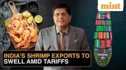 India's Smart Strategy to Boost Shrimp Exports Amid US Tariffs