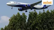 Indigo Soars 3.5% Despite Q2 Loss: The Hidden Bullish Signals That Excited Investors