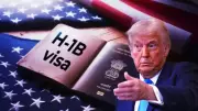 IT Stocks Rally 3% as Trump's H-1B Visa Comments Boost Investor Sentiment