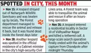 Jaipur Leopard Incidents: Viral Video Sparks Urban Wildlife Concerns