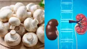 Kidney Disease? 5 Mushroom Safety Tips You Must Know