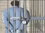 LNS Director Arrested at Chennai Airport in ₹850 Crore Fraud Case